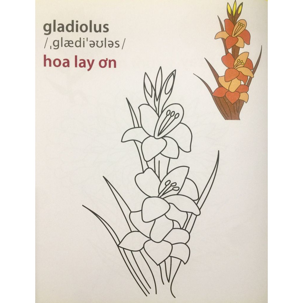 Sách Giờ Học Tô Màu Của Bé Các Loài Hoa
