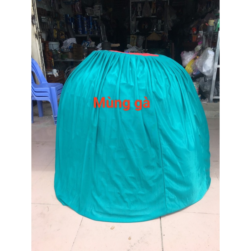 Mùng gà úp bội gà