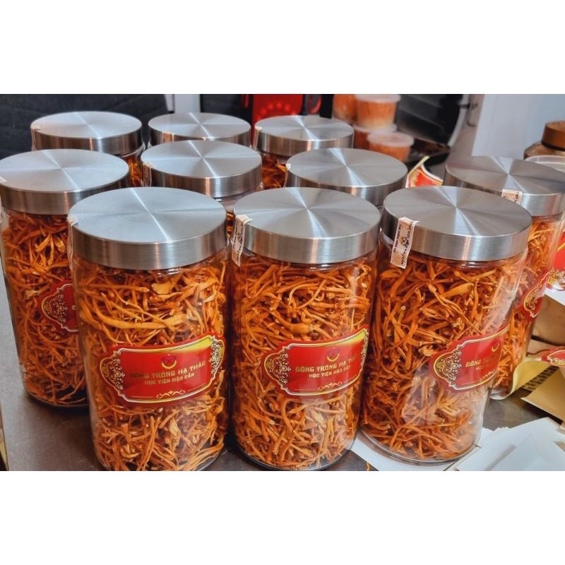 [Lọ 50g] Đông Trùng Hạ Thảo Học Viện Hậu Cần sấy thăng hoa cao cấp