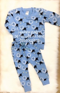 Bộ nỉ bé trai sư tử xanh 2-7Y (có ảnh thật)