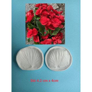 Gân silicon hoa thu hải đường