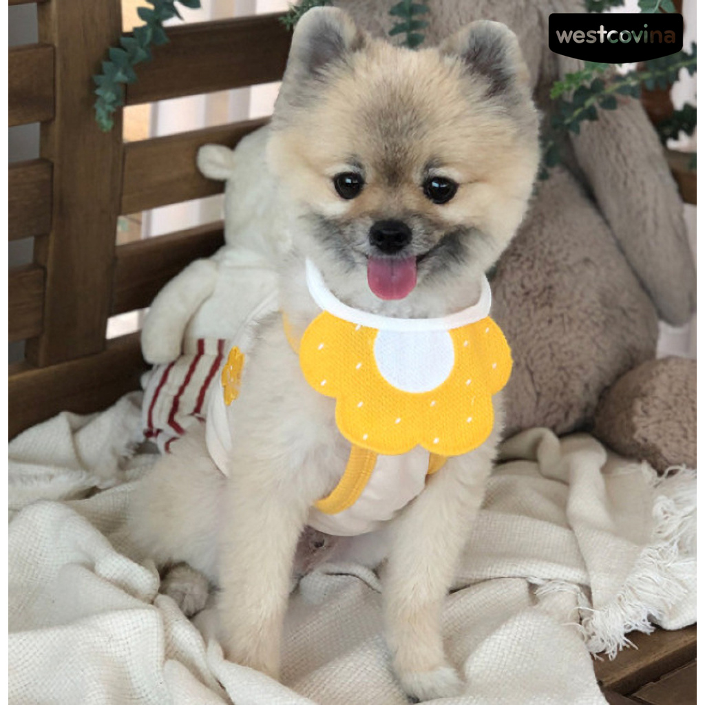 Vòng cổ kèm yếm ăn dệt kim hình bông hoa đáng yêu cho cún cưng