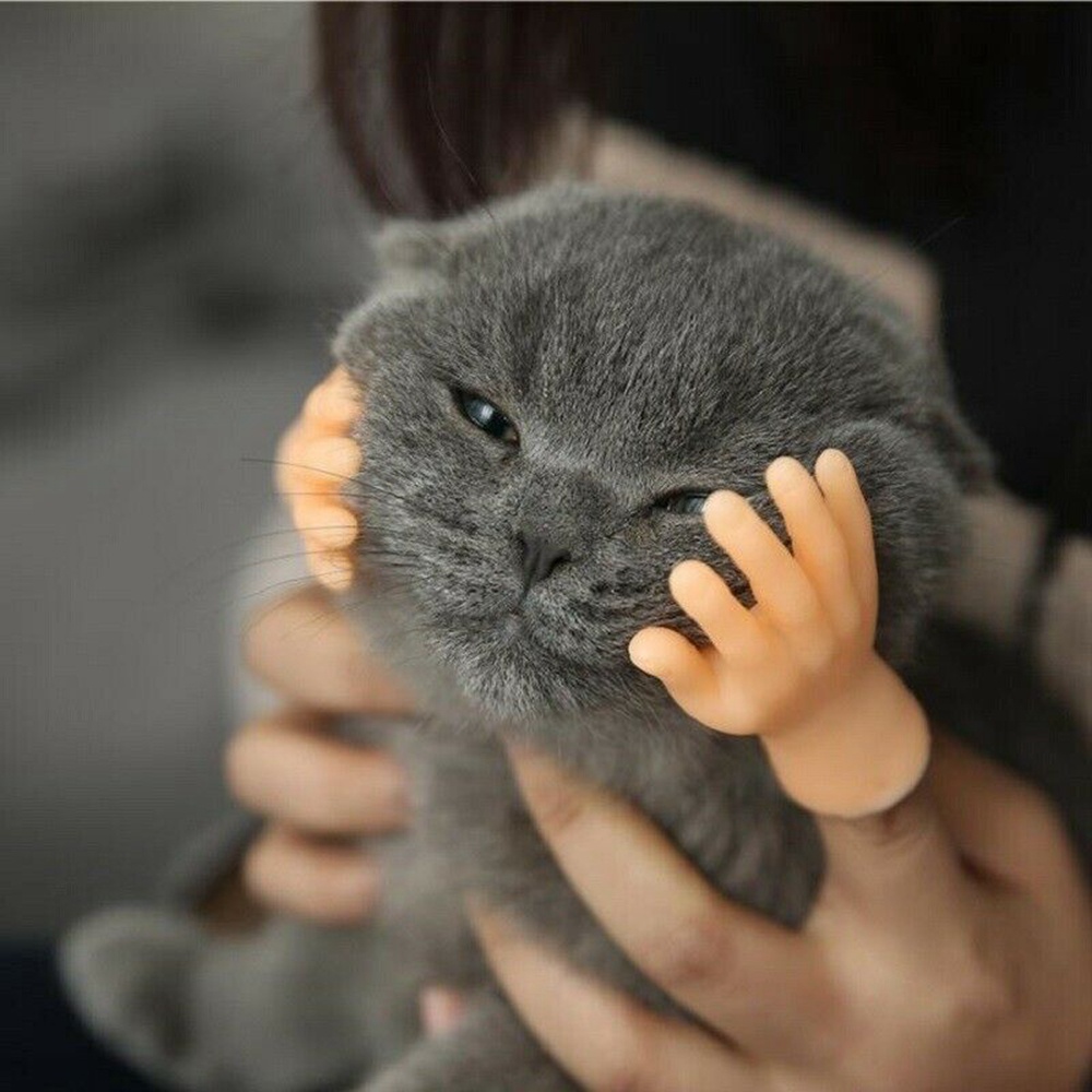 Bộ 2 Bàn Tay Mô Phỏng Hình Bàn Tay Chó Mèo Sáng Tạo