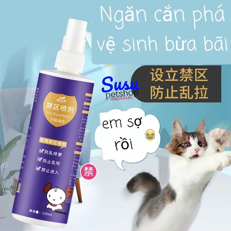 Huấn luyện chó mèo KO cắn phá, đi Vệ sinh bừa bãi