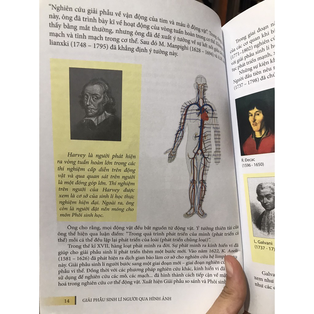 Sách - Giải phẫu sinh lí người qua hình ảnh phần 1: Nhập môn giải phẫu sinh lí học