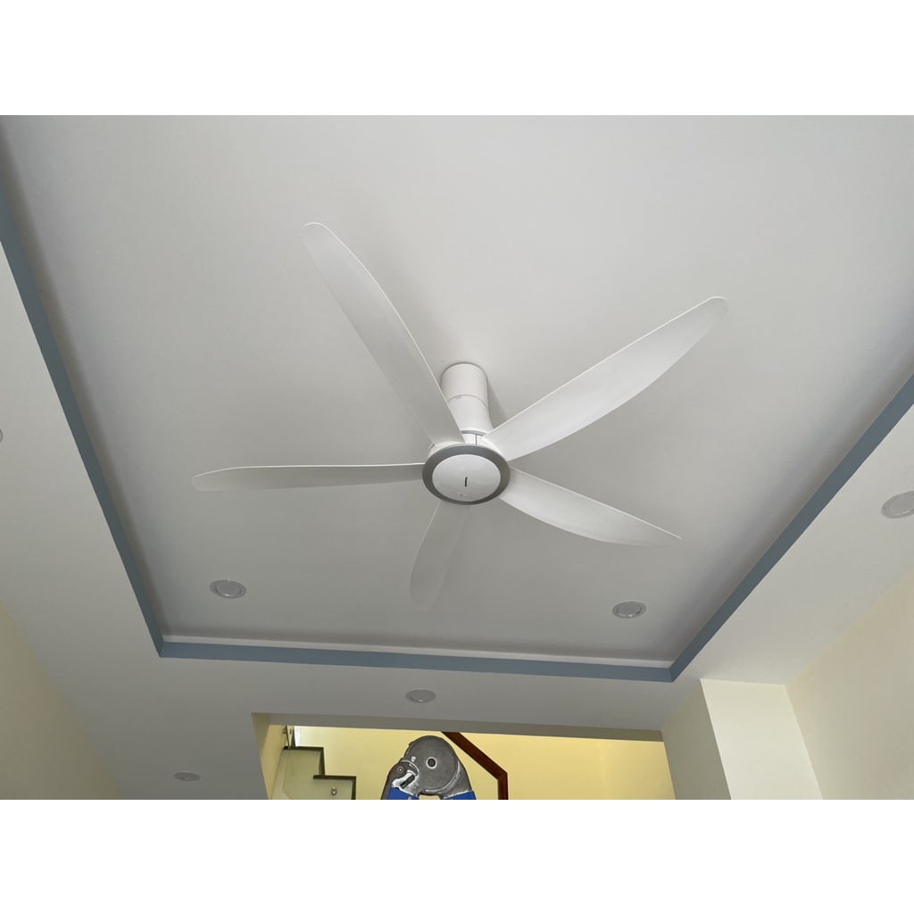 Quạt trần 5 cánh Panasonic F-60TDN\F-60TDN-S