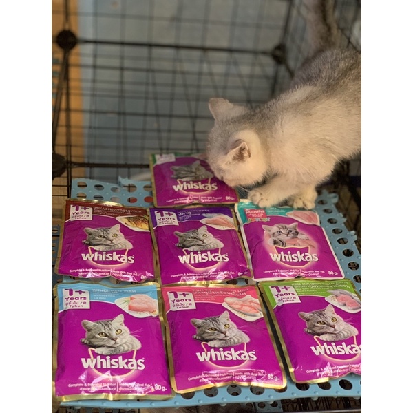 Pate whiskas gói 80g đủ vị cho mèo lớn và mèo con