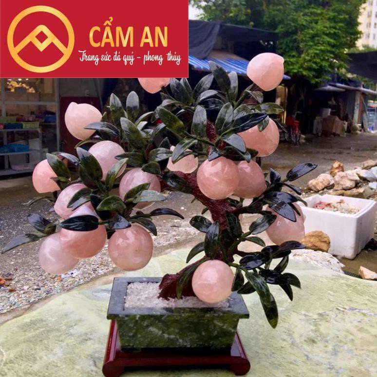 [HÀNG KIỂM ĐỊNH] Cây Đào Tài Lộc Đá TA.Hồng Tự Nhiên 9 - 18 quả