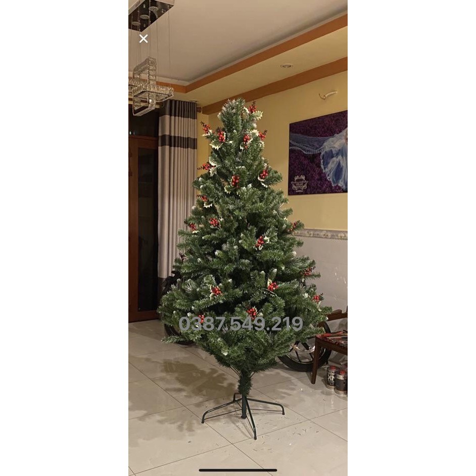 Cây thông noel 3 loại lá gắn trái đỏ 180cm