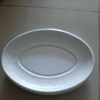 100 đĩa xoài lớn