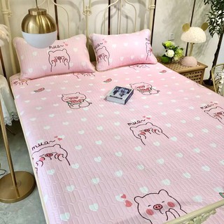 CHIẾU TENCEL SIÊU MÁT 3D