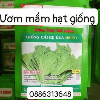 Giống rau cải bẹ dưa (20gr)