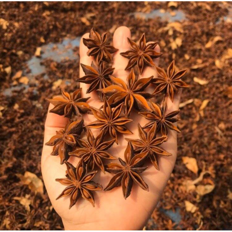 Hoa Hồi Khô - Đại Hồi Hương Cao Bằng 100G Sạch, Thơm Phức Hàng Loại 1