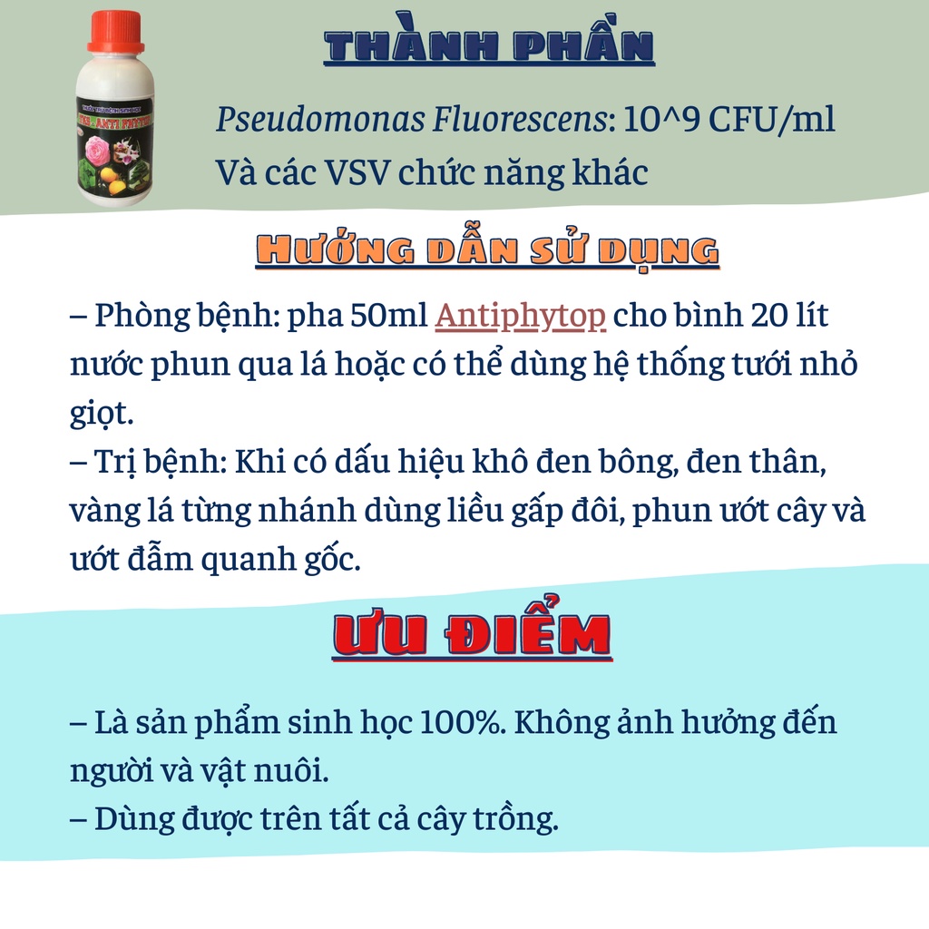 ANTI PHYTOP Chai 100ml: Đối Kháng Nấm Khuẩn Gây Hại Cây Trồng