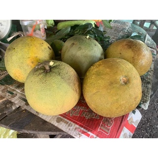 1 trái bưởi chua nhỏ dưới 1kg