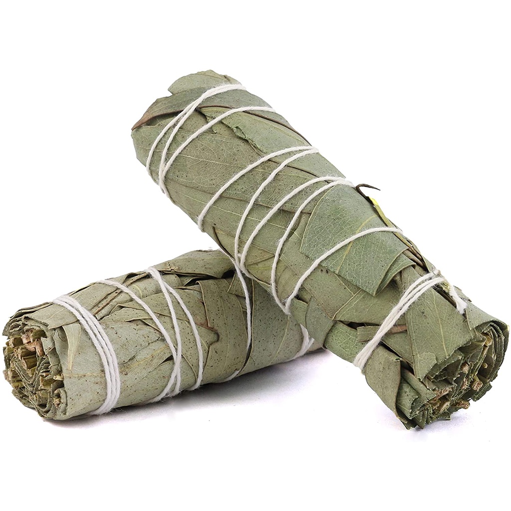 Combo 1-2-3 Bó xô BẢO VỆ (Bạch đàn eucalyptus)