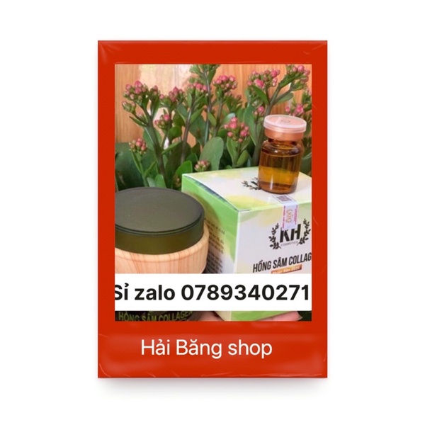 Mặt nạ hồng sâm collagen (tặng serum)