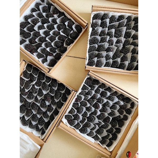 Mâm xôi đen, Phúc Bồn Tử nhà trồng 500g