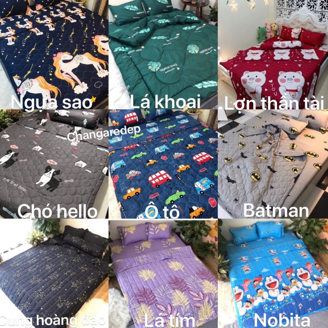 Chăn hè ( mền ) trần bông 3 lớp cotton poly. Mẫu mới nhất