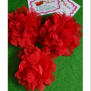 Cài áo- Hoa cẩm chướng lai- cánh gợn sóng- màu đỏ tươi