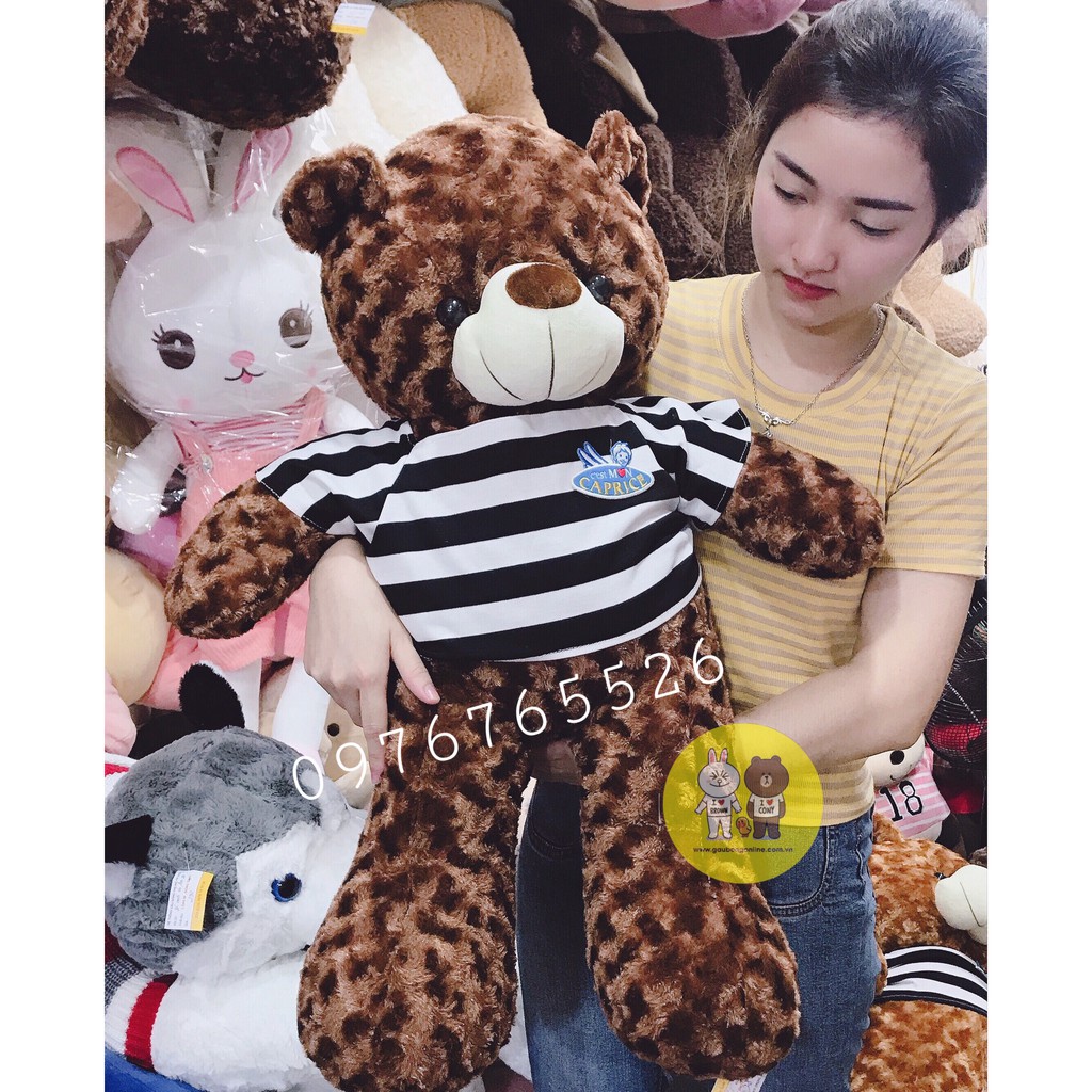 Gấu bông teddy màu nâu cafe kích thước từ 80cm-1m9