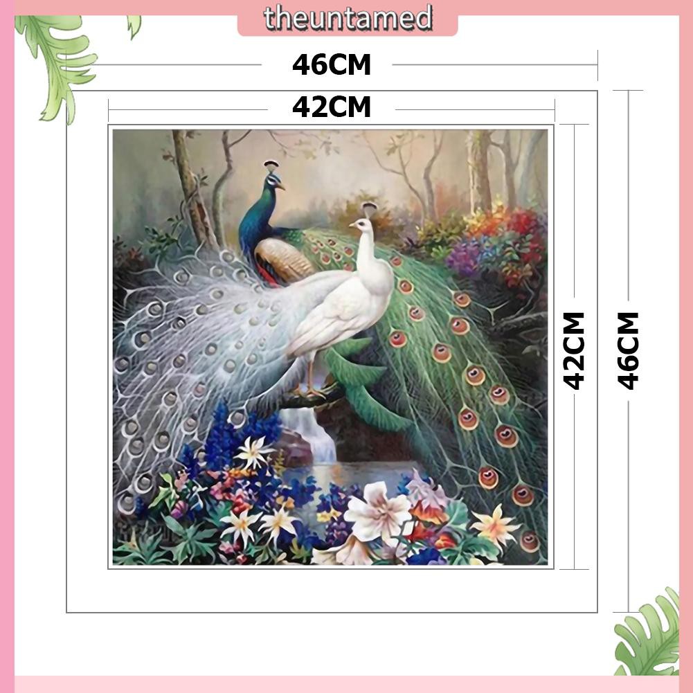 Tranh Thêu Chữ Thập Diy 11ct Hình Con Công | BigBuy360 - bigbuy360.vn