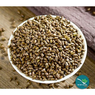 Thảo quyết minh 1kg - TM130