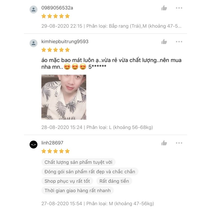 Áo sơ mi đi biển mềm mát - Lá xám, Lá xanh 🌿 Có đủ size Em Bé S, M, L, XL, XXL, XXXL - Có size trên 100kg | BigBuy360 - bigbuy360.vn