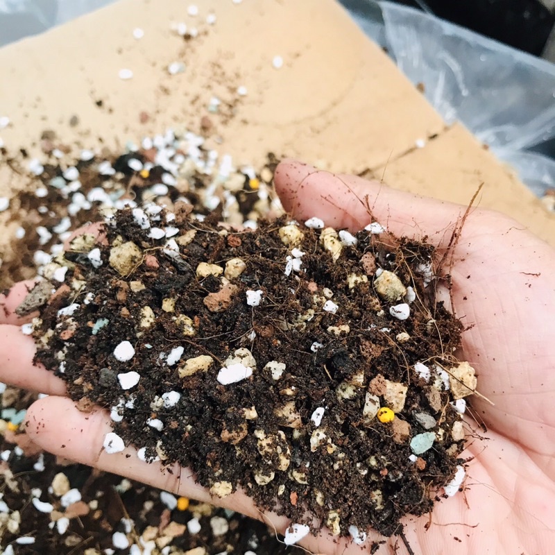 Giá Thể Chuyên Dụng Dành Cho Sen Đá Mông, Lithops, Thạch Lan