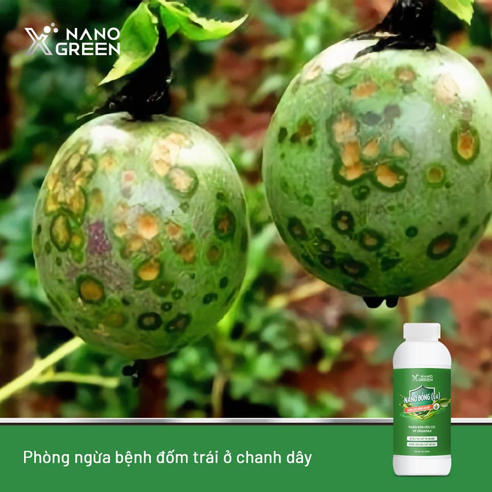 Nano đồng Nano Xgreen cung cấp vi lượng, bổ sung dưỡng chất phục hồi cây, chống giá rét