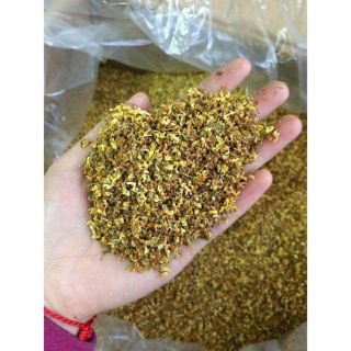 Quế hoa - trà mộc quế hoa thượng hạng