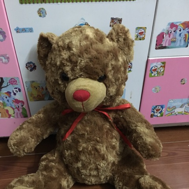 Gấu nhung mèo 4