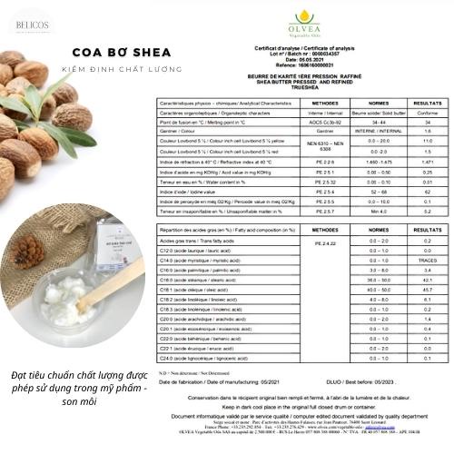 Bơ Hạt Mỡ - Bơ Shea Tinh Chế  - Bơ làm son, mỹ phẩm dưỡng ẩm