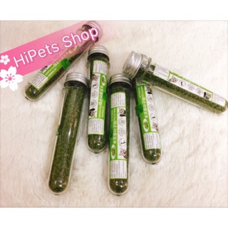 Ống catnip cho mèo