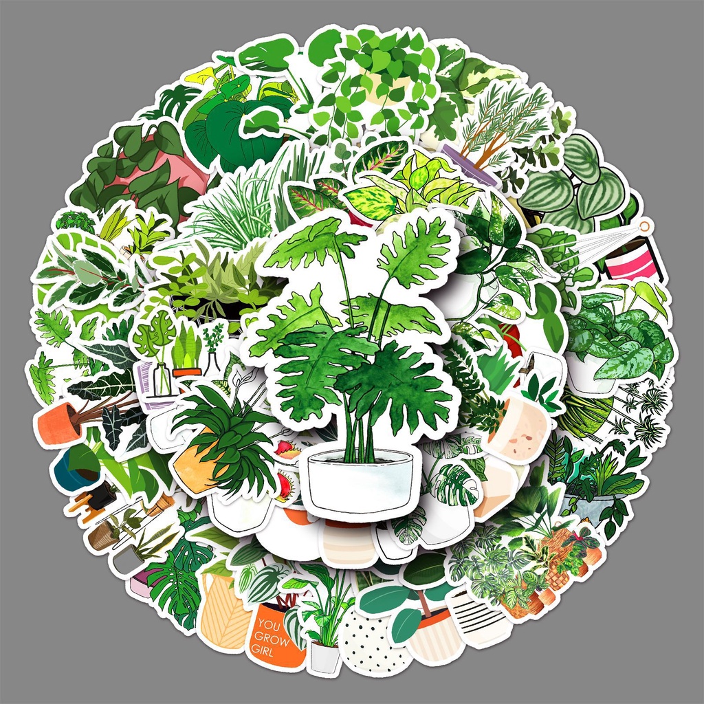 Combo 30 Sticker Chống Nước Decal Dán Điện Thoại Laptop Mũ Bảo Hiểm Vali Guitar Bình Nước [TRẦU BÀ LÁ XẺ CÂY CẢNH]