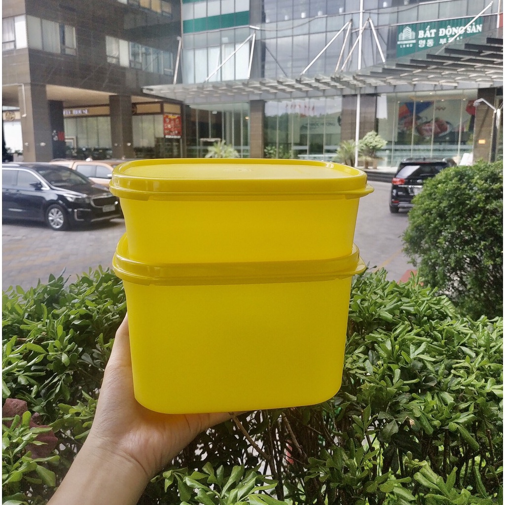 Bộ Hộp Colorful Rectangular 2 Hộp Tupperware