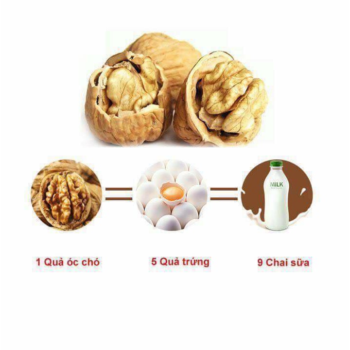 1KG QUẢ ÓC CHÓ NHẬP KHẨU ÚC