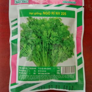 Gói hạt giống rau mùi (ngò rí)