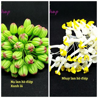 Mua Nhụy/ nhị lan và Nụ lan Hồ Điệp làm hoa vải voan ( bó 25 cái)
