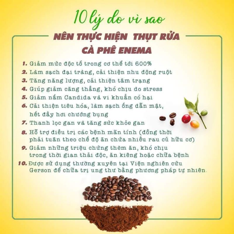COMBO Detox Thanh Lọc Làm Sạch Sỏi Gan &amp; Nấm 2 Ngày toàn bộ Hệ Tiêu Hoá Viethealthy
