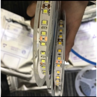 LED dây dán 12V - 120 led/Mét - Cuộn 5m
