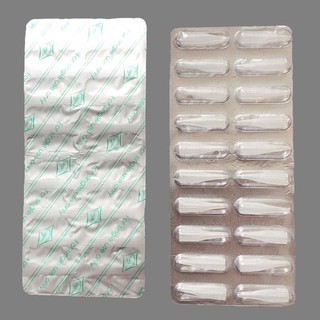 Ngòi Vỉ Máy Xăm Thần Thánh/PRO (200 ngòi/hộp)