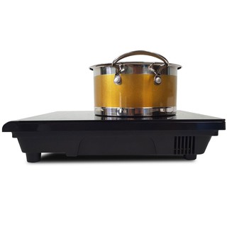 Bếp từ đơn Noble NB-Si38