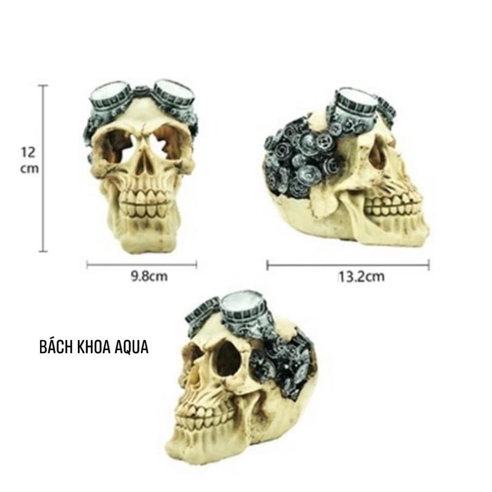 ĐẦU LÂU PHƯỢT - ĐỘI MŨ HẠ TRANG TRÍ HỒ THỦY SINH