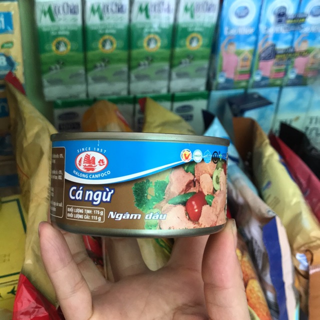 Cá ngừ ngâm dầu