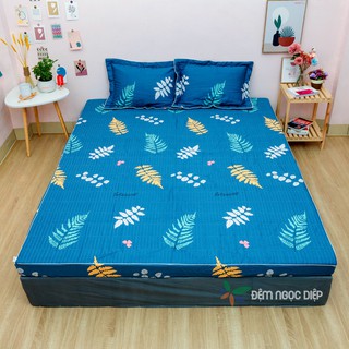 Bộ Ga Chun Cotton Hàn Quốc Trần Bông Kèm 2 Vỏ Gối m6 m8 2m2 nhiều mẫu