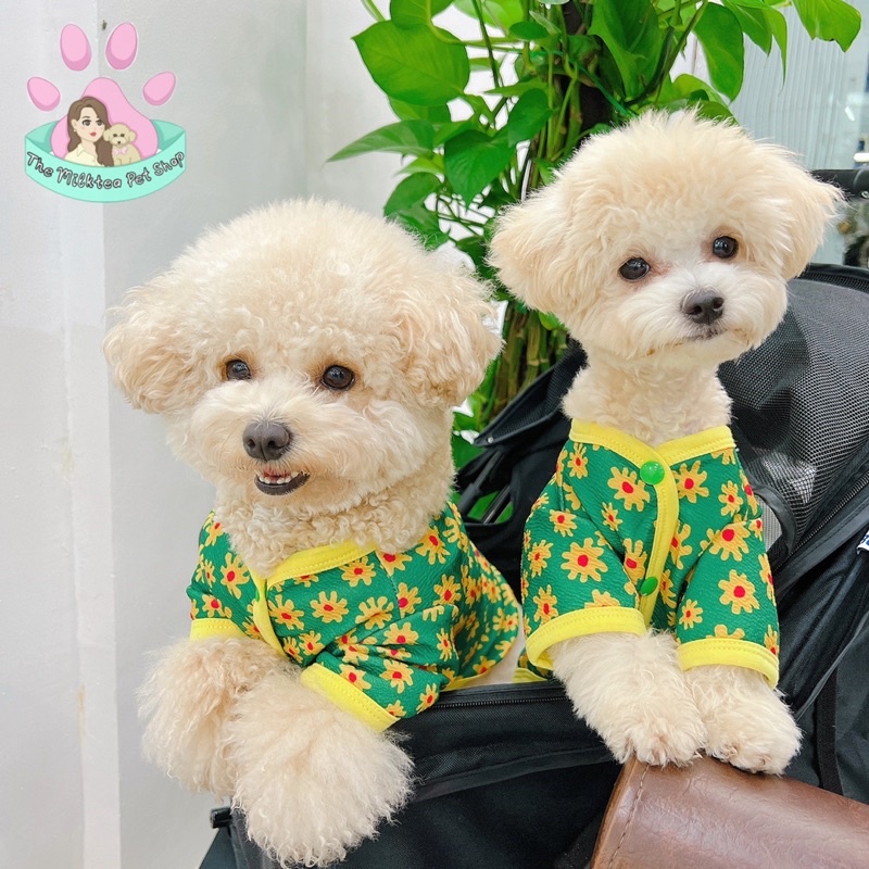 Áo hoa cao cấp Hàn Quốc cho chó mèo thú cưng