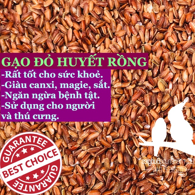 1KG GẠO ĐỎ HUYẾT RỒNG - GIÁ TRỊ DINH DƯỠNG CAO