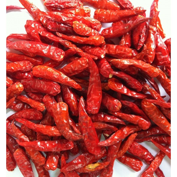 [100g] ỚT TRÁI SẤY KHÔ [VN] ĐẠI ĐỒNG THUẬN Dried Whole Chili (bph-hk)