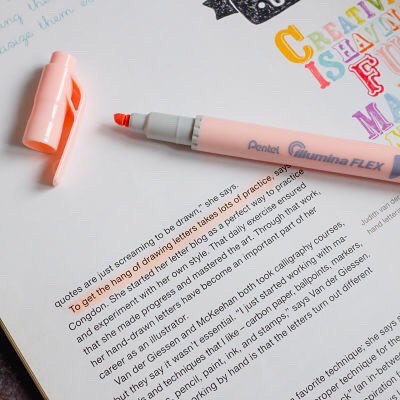 Bút nhớ dòng 2 đầu Pentel Pastel Highlighter - Pentel Illumina Highlighter [Hàng chính hãng]